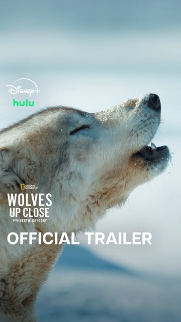 Wolves Up Close trailer cover with two wolves, returned as the Reel's preview image.